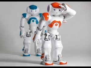 HUMANOID ROBOT