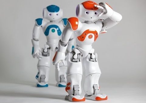 HUMANOID ROBOT